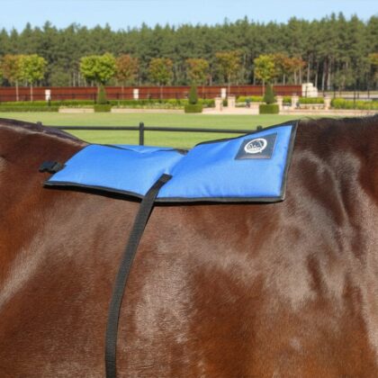 Horse wearing Back & Neck tack on its back