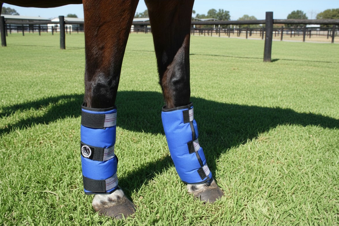 Horse wearing ice & heat therapy boots