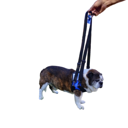 Aero Paw Hind Leg Support Harness