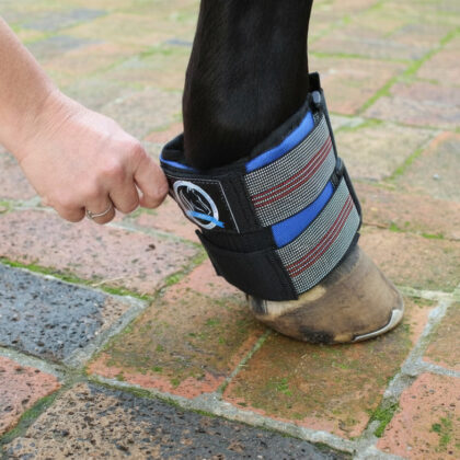 Horse wearing ice therapy pastern boots