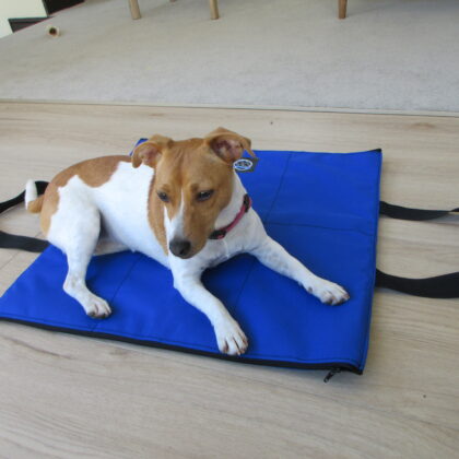 Res-Q-Tack Cool Heat Pad for Dog