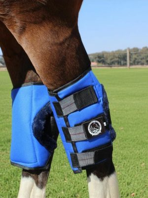 Hock Boots