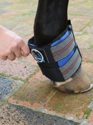 Horse wearing ice therapy pastern boots