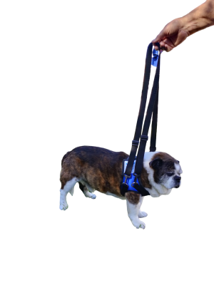 Aero Paw Hind Leg Support Harness