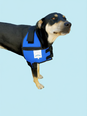 Shoulder Unit